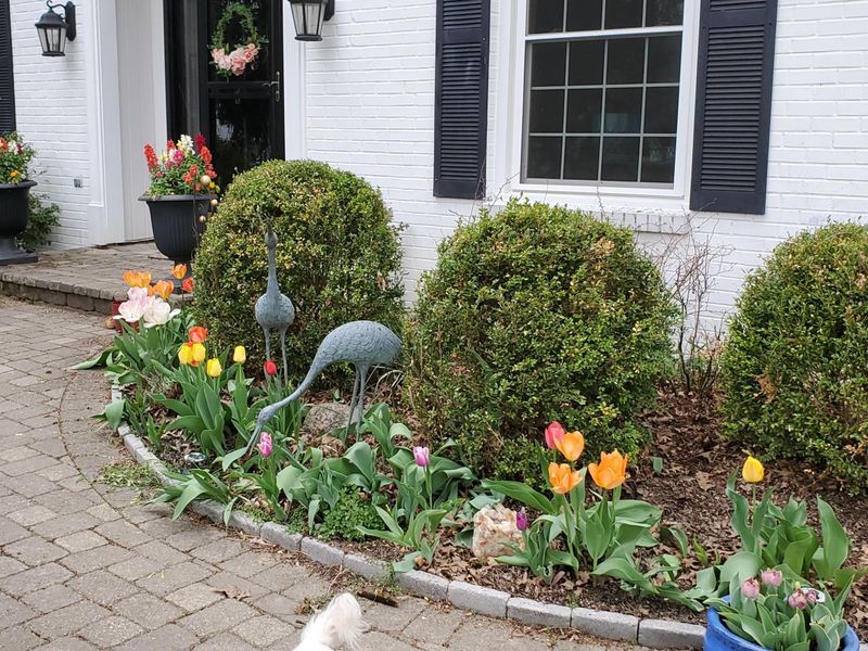 481 Clotts Road, Columbus, OH 43230 Photo 5