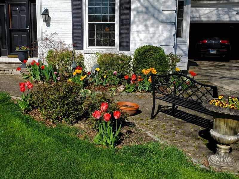 481 Clotts Road, Columbus, OH 43230 Photo 7