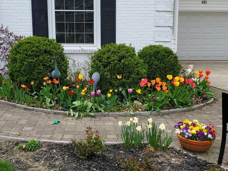 481 Clotts Road, Columbus, OH 43230 Photo 9