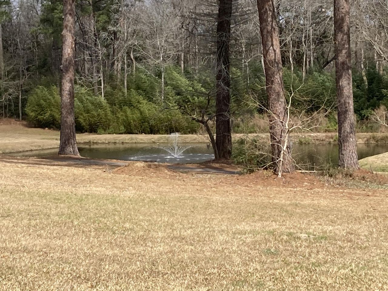 7 Dogwood Lane Photo 14