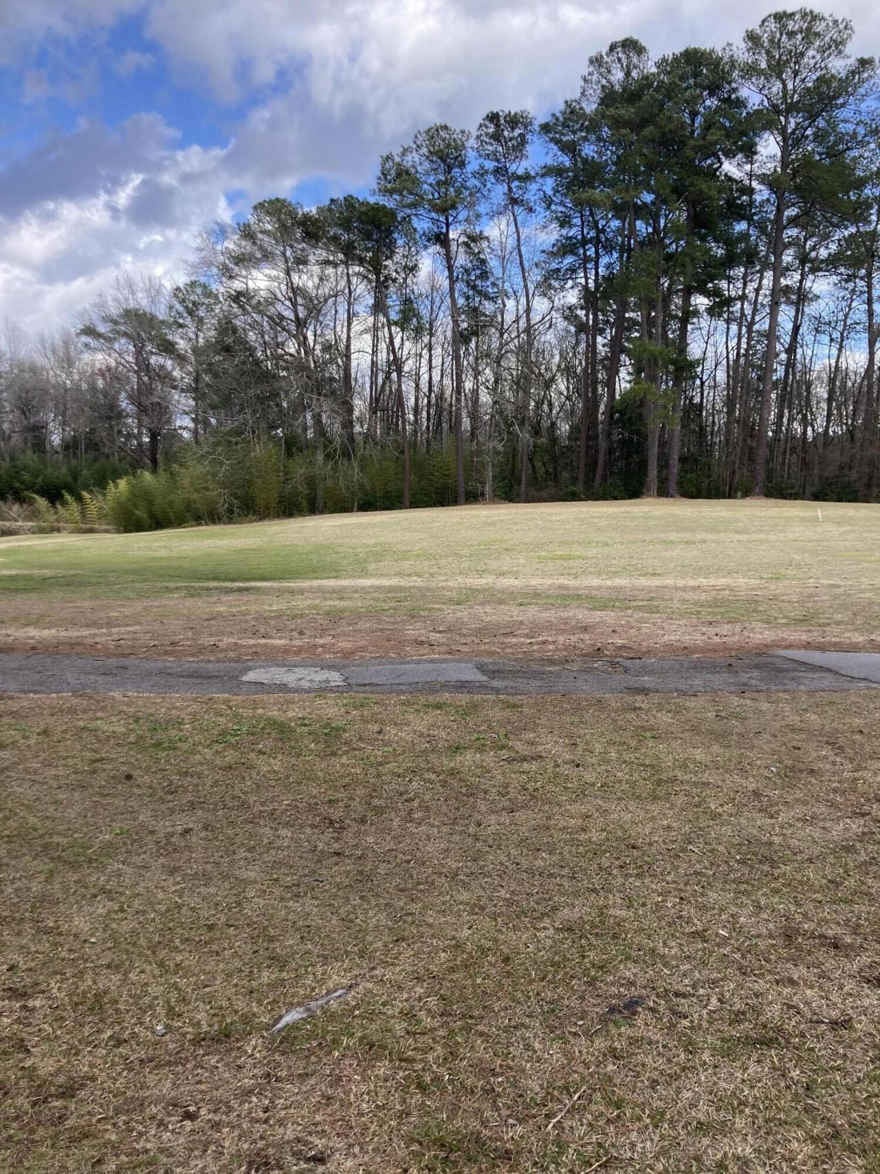 7 Dogwood Lane Photo 16