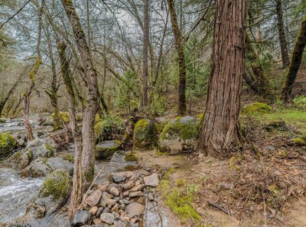 21655 Highway 26, West Point, CA 95255 Photo