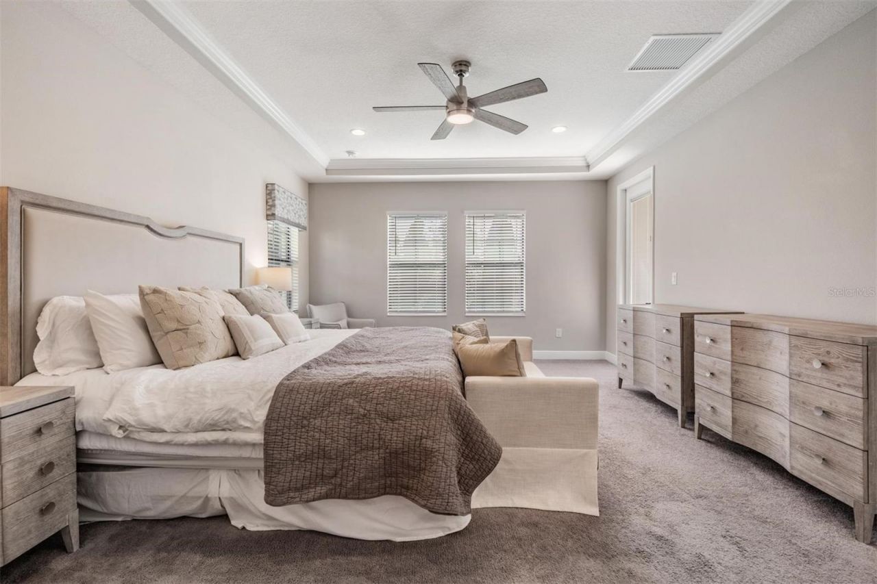 9206 Isabella Circle, Parrish, FL 34219 Photo