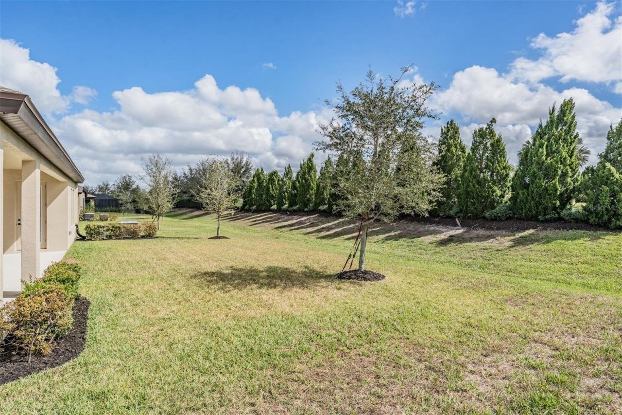 9206 Isabella Circle, Parrish, FL 34219 Photo