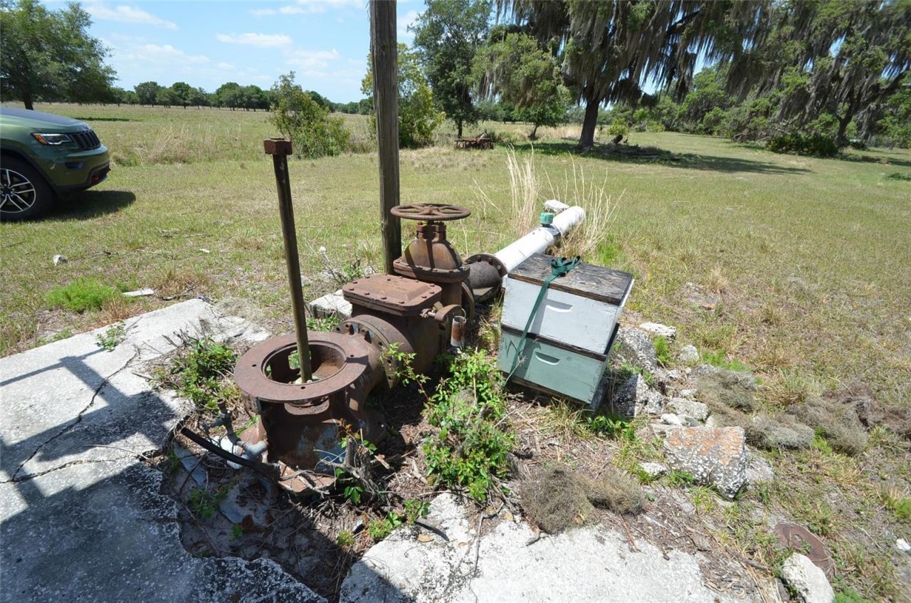 834 Logue Road, Myakka City, FL 34251 Photo