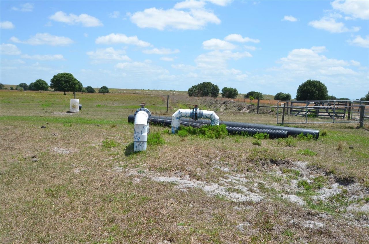 834 Logue Road, Myakka City, FL 34251 Photo