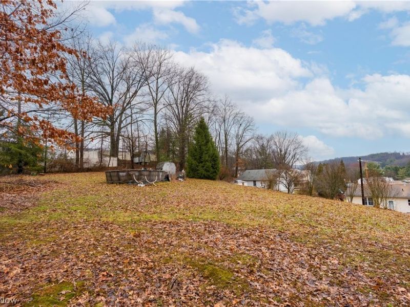 701 W Line Street, Minerva, OH 44657 Photo 9