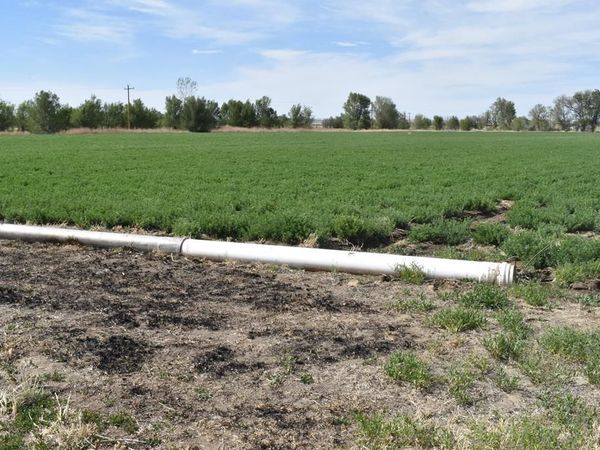 12521 Road JJ, Manzanola, CO 81058