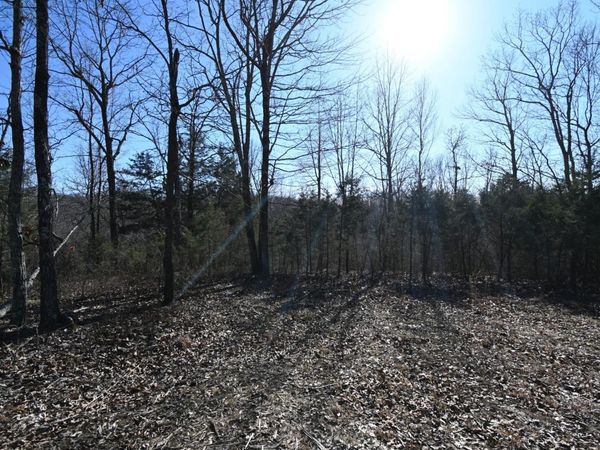 143 Wyatt Ln, Linden, TN 37096