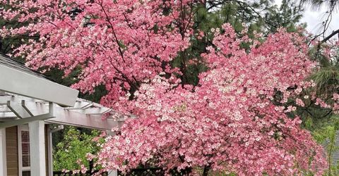 15326 Stinson Dr, Grass Valley, CA 95949 Photo