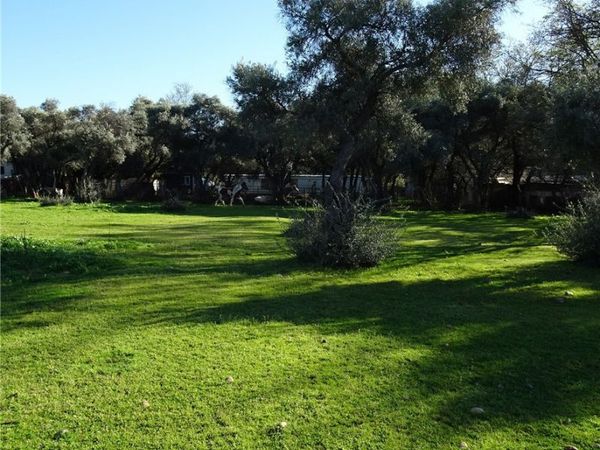 2549 Palermo Road, Palermo, CA 95968