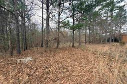 92 Cannonade Court  photo 4