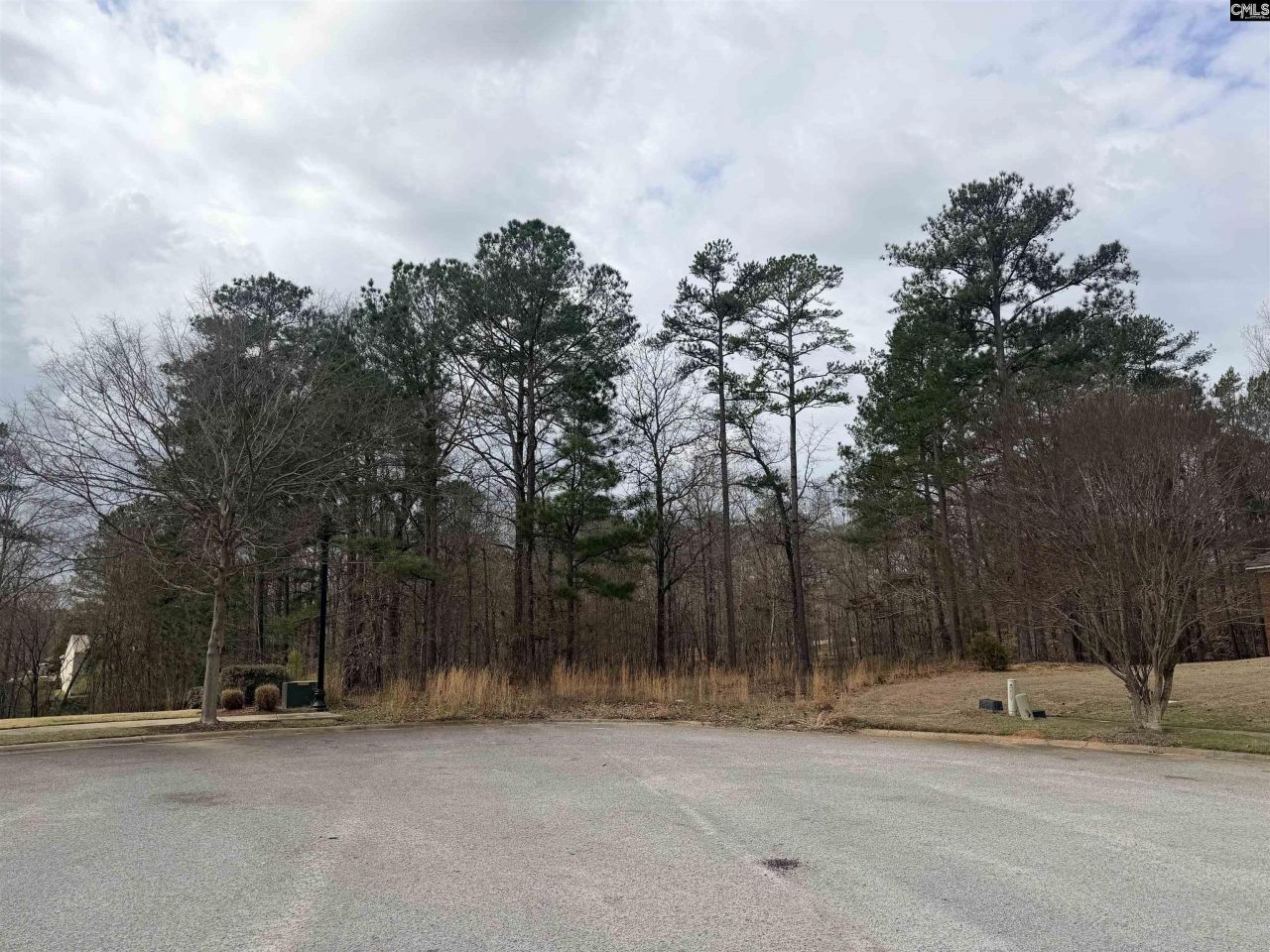 92 Cannonade Court  Photo 4