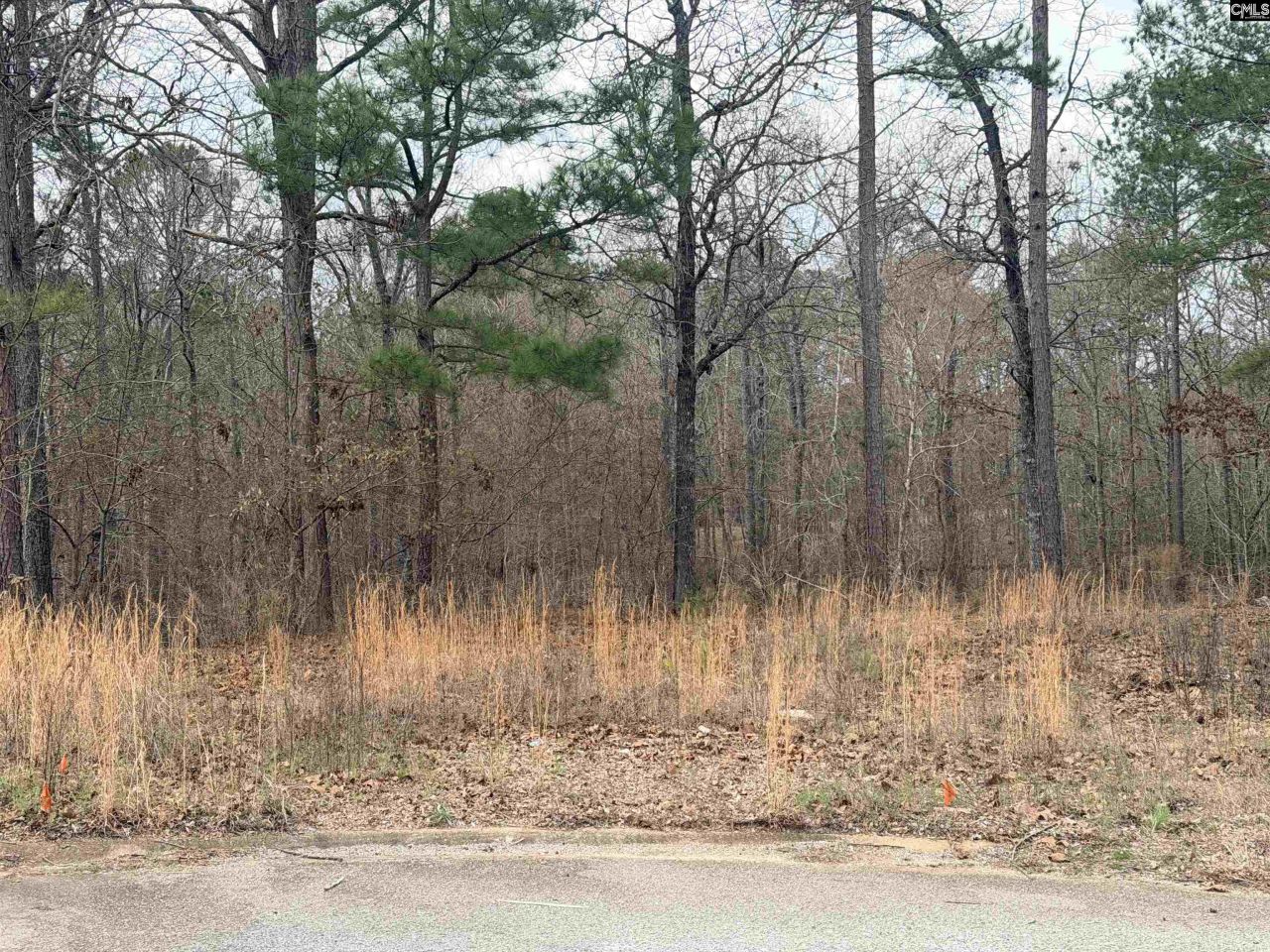 92 Cannonade Court  Photo 5