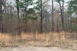 92 Cannonade Court  photo 4