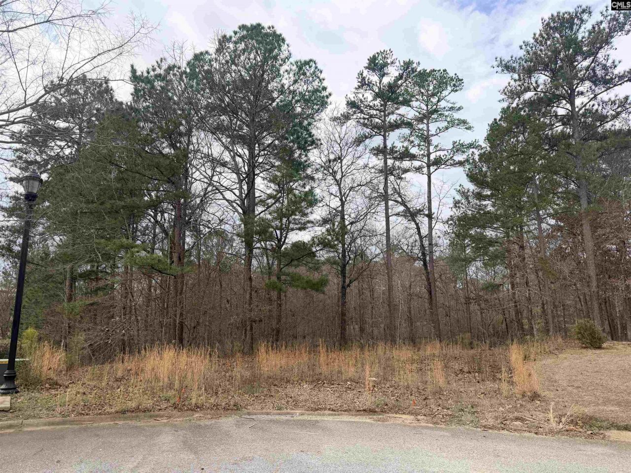 92 Cannonade Court  Photo 6