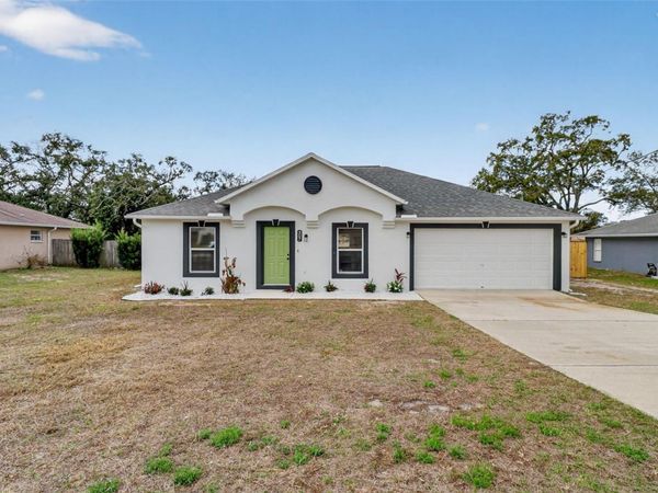 307 PLUMTREE AVENUE , SPRING HILL, FL 34606