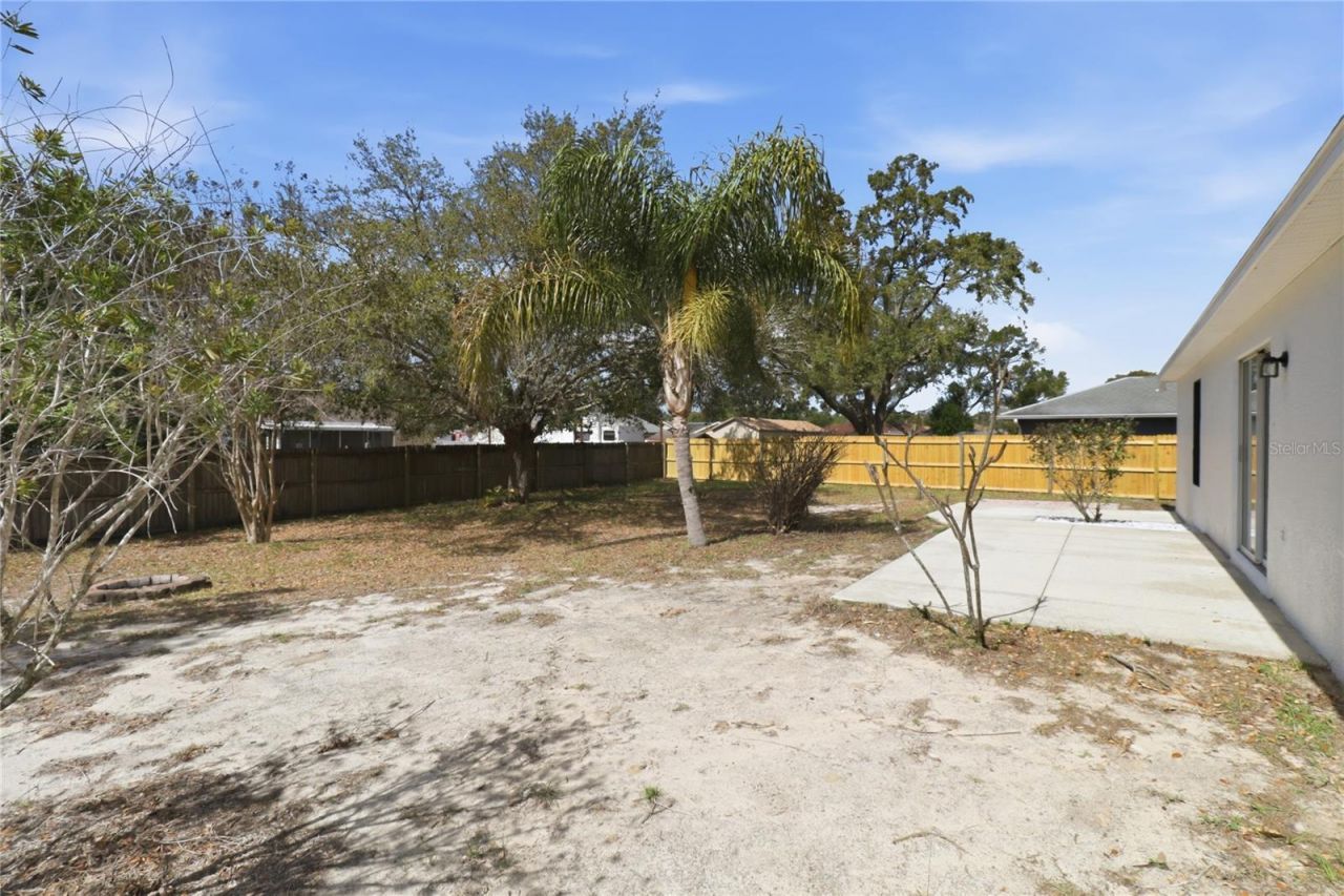 307 Plumtree Avenue , Spring Hill, FL 34606 Photo