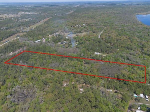 JUNGLE ROAD , GENEVA, FL 32732