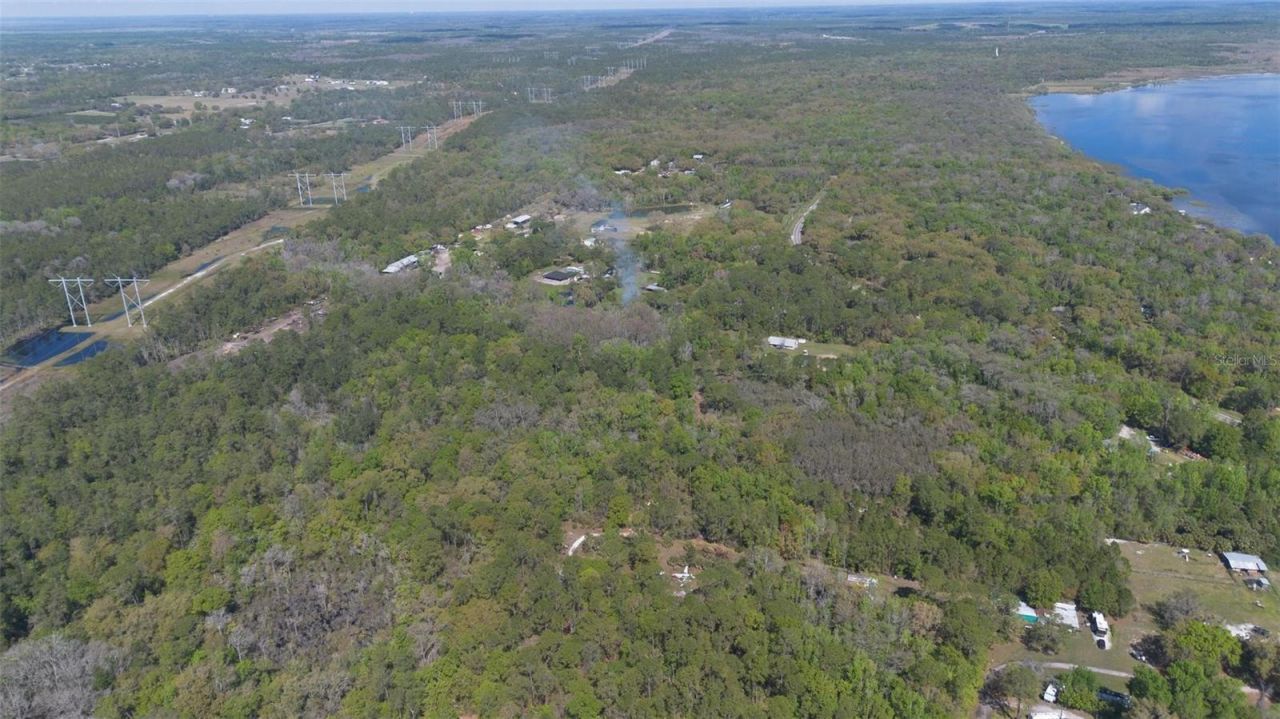 Jungle Road, Geneva, FL 32732 Photo