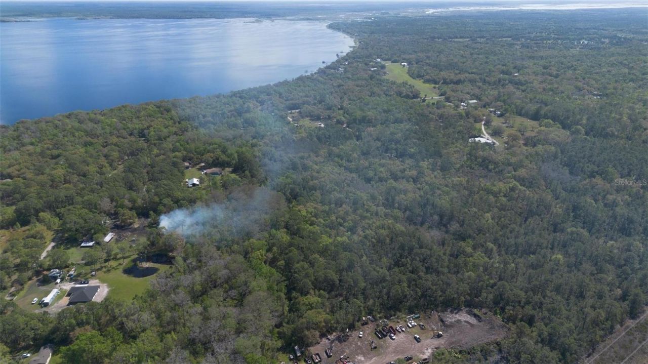 Jungle Road, Geneva, FL 32732 Photo