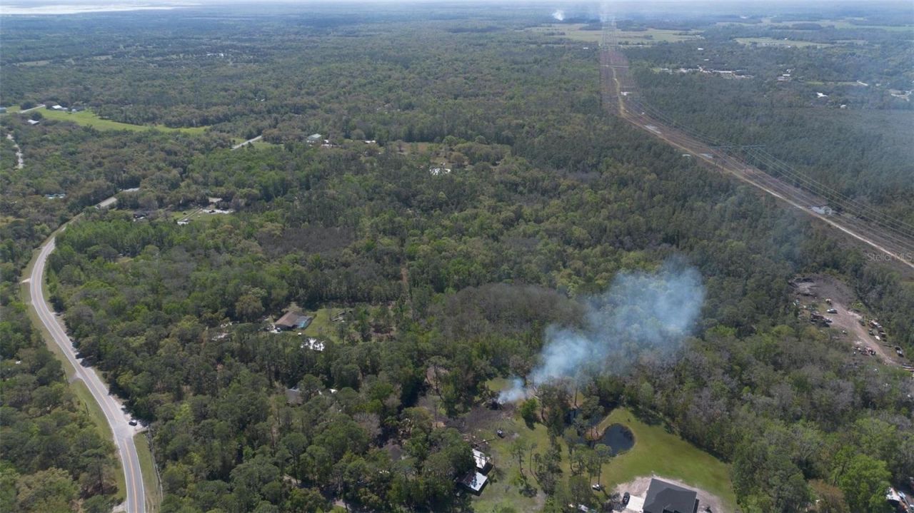 Jungle Road, Geneva, FL 32732 Photo