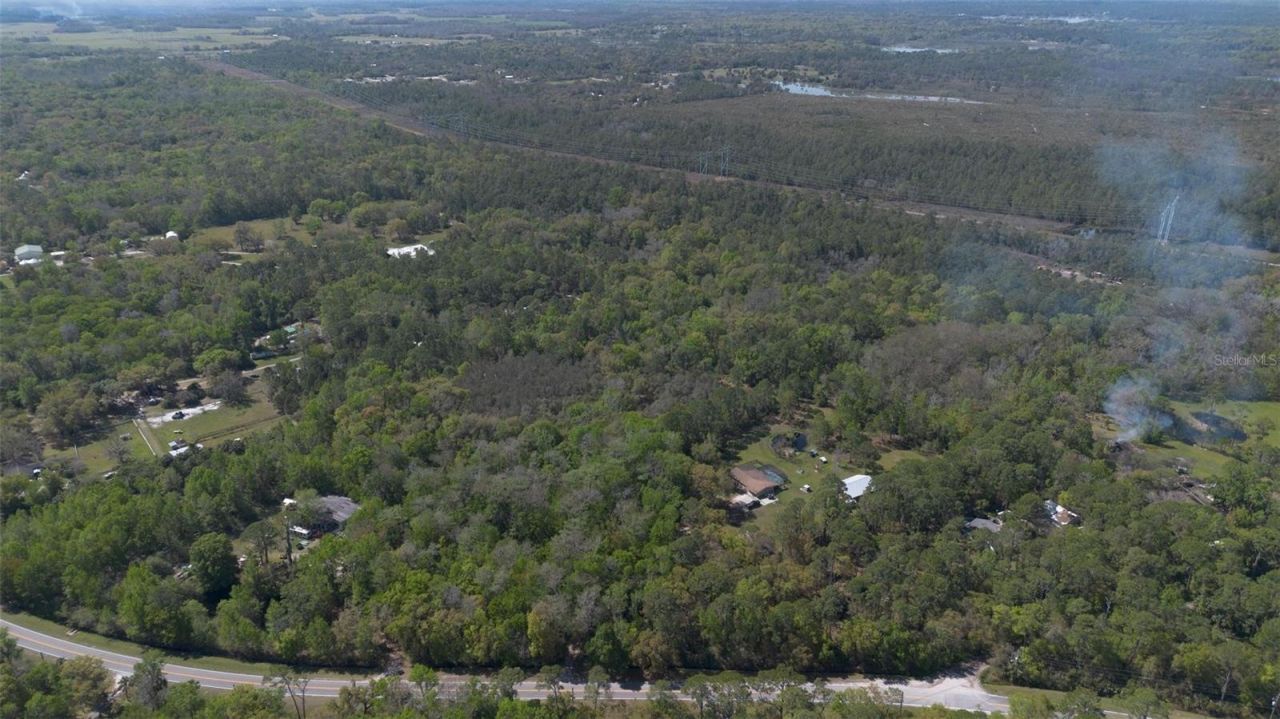 Jungle Road, Geneva, FL 32732 Photo