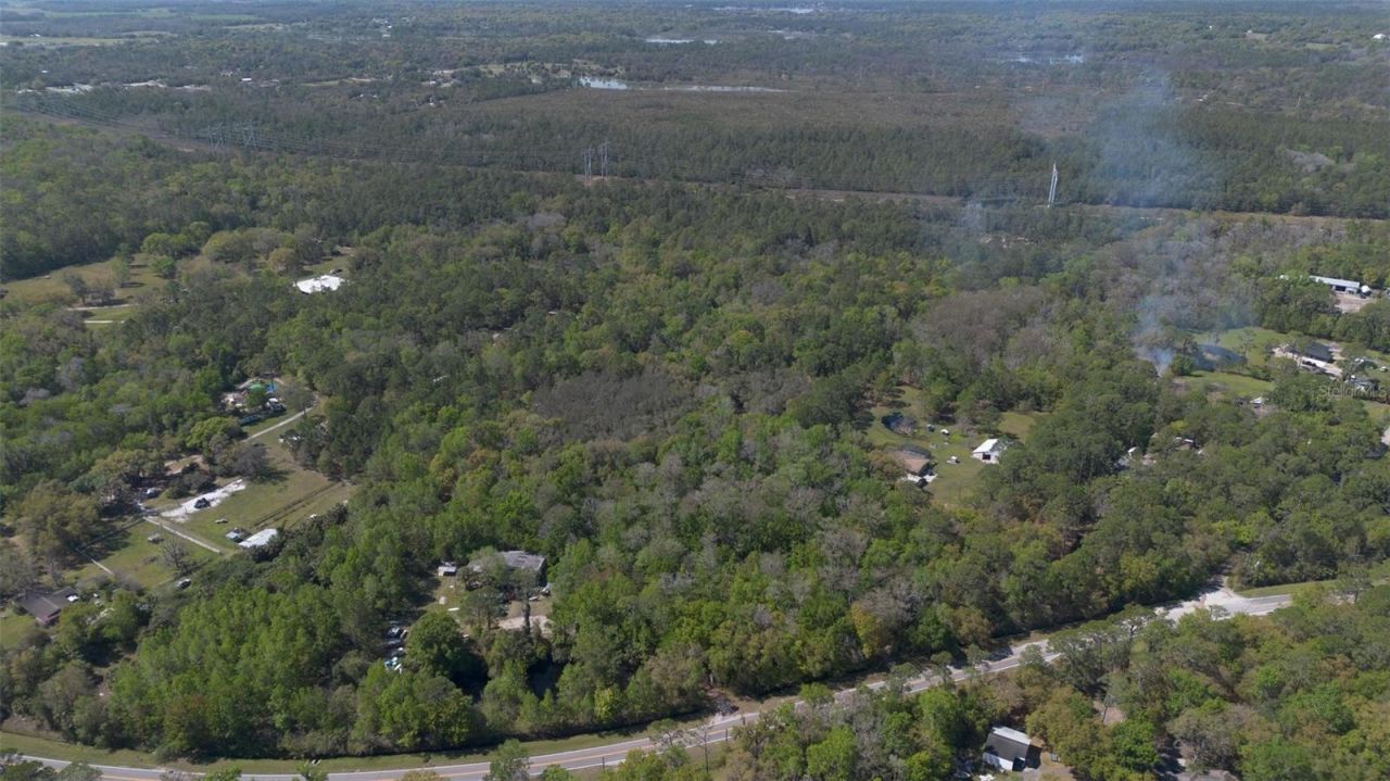 Jungle Road, Geneva, FL 32732 Photo