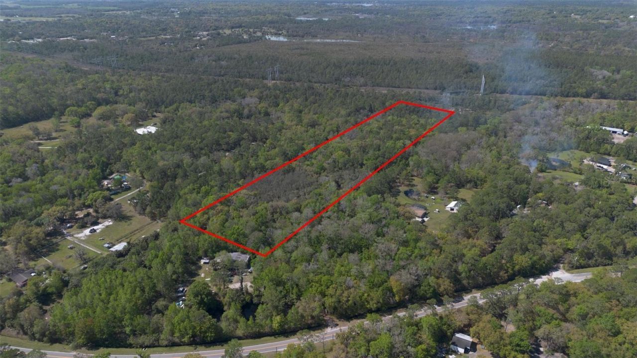 Jungle Road, Geneva, FL 32732 Photo