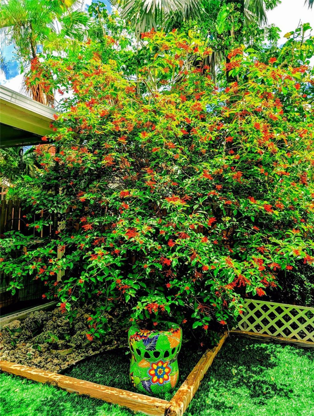 11240 Reveille Road, Cooper City, FL 33026 Photo