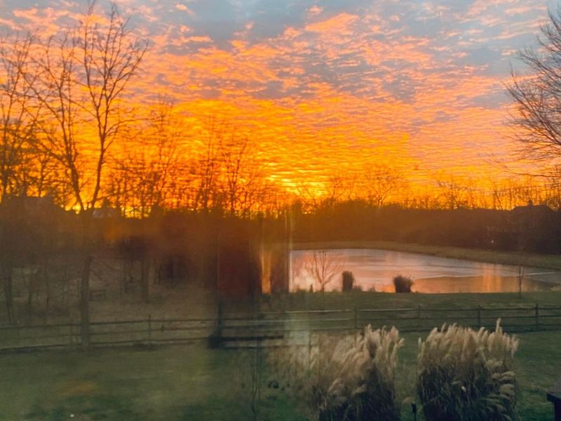 9530 Ward Road , Plain City, OH 43064 Photo 140