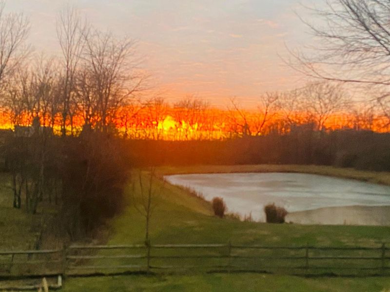 9530 Ward Road , Plain City, OH 43064 Photo 141