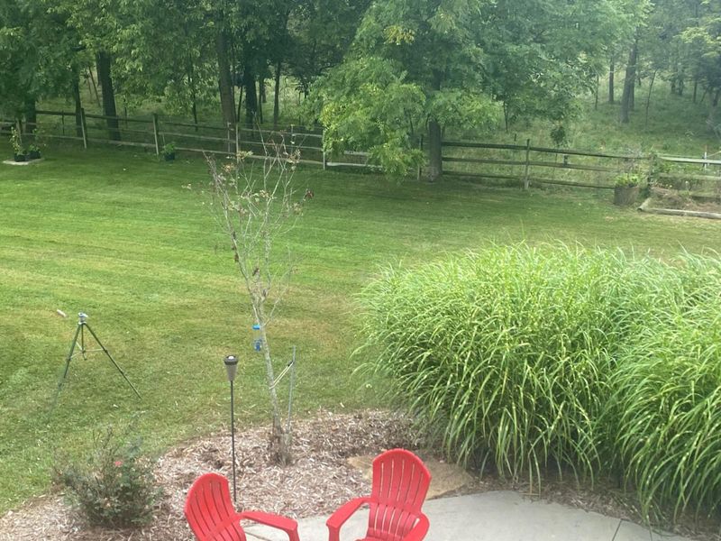 9530 Ward Road, Plain City, OH 43064 Photo 142