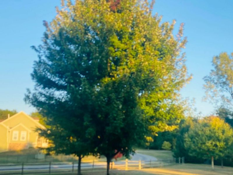 9530 Ward Road , Plain City, OH 43064 Photo 143