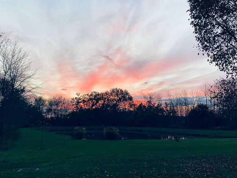 9530 Ward Road , Plain City, OH 43064 Photo 151