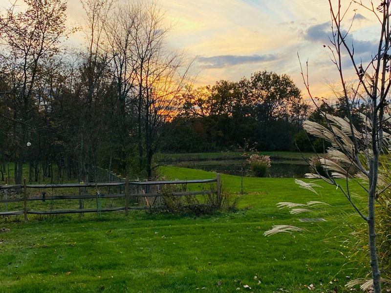 9530 Ward Road , Plain City, OH 43064 Photo 152