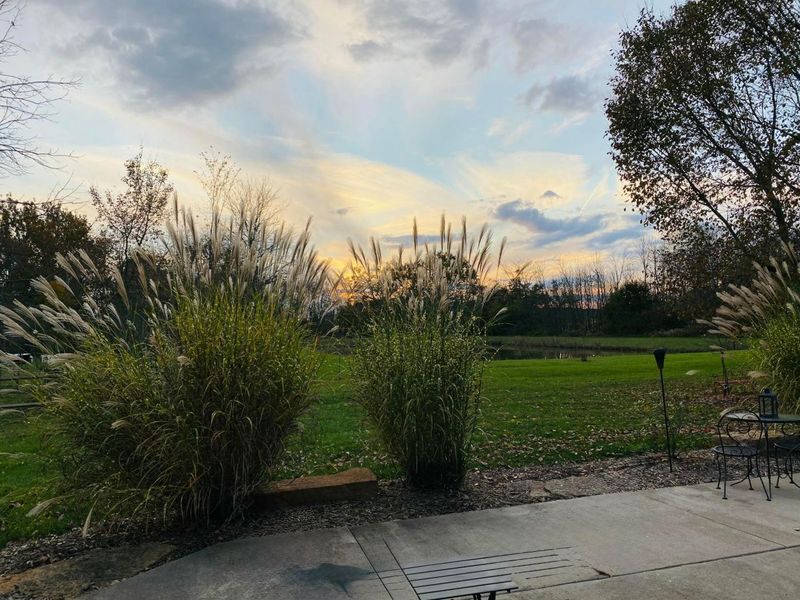 9530 Ward Road , Plain City, OH 43064 Photo 154