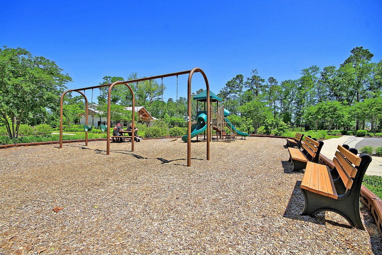 9920 Winged Elm Street Photo 50