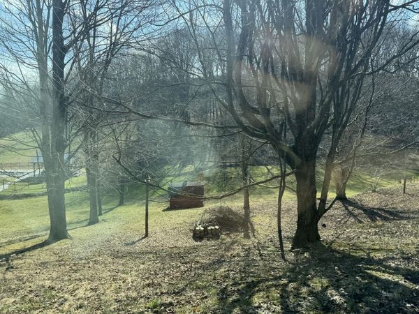 115 County Line Rd, Bridgeport, WV 26330