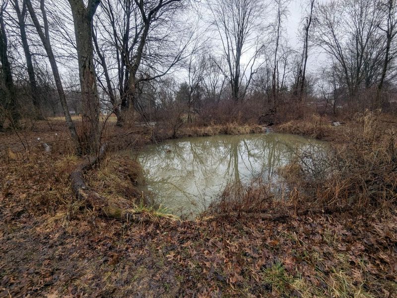 6136 Mink Street SW, Pataskala, OH 43062 Photo 24