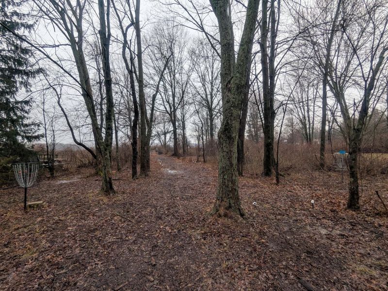 6136 Mink Street SW, Pataskala, OH 43062 Photo 28