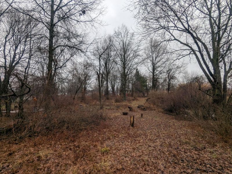 6136 Mink Street SW, Pataskala, OH 43062 Photo 30