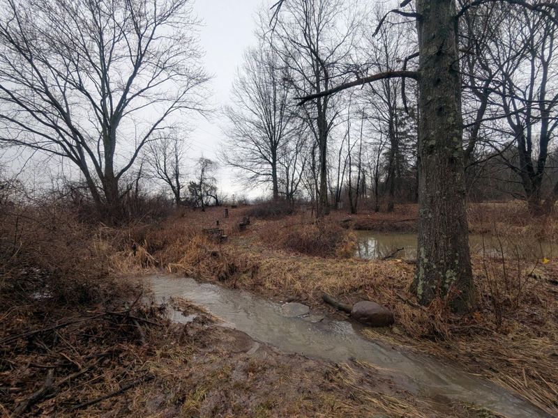 6136 Mink Street SW, Pataskala, OH 43062 Photo 33