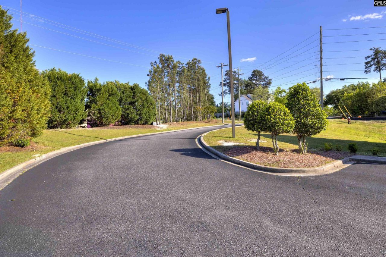 101 Rice Bent Way  Photo 6