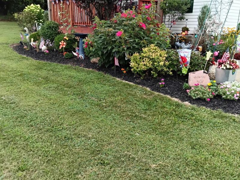 7880 E State Route 29, Mechanicsburg, OH 43044 Photo 37