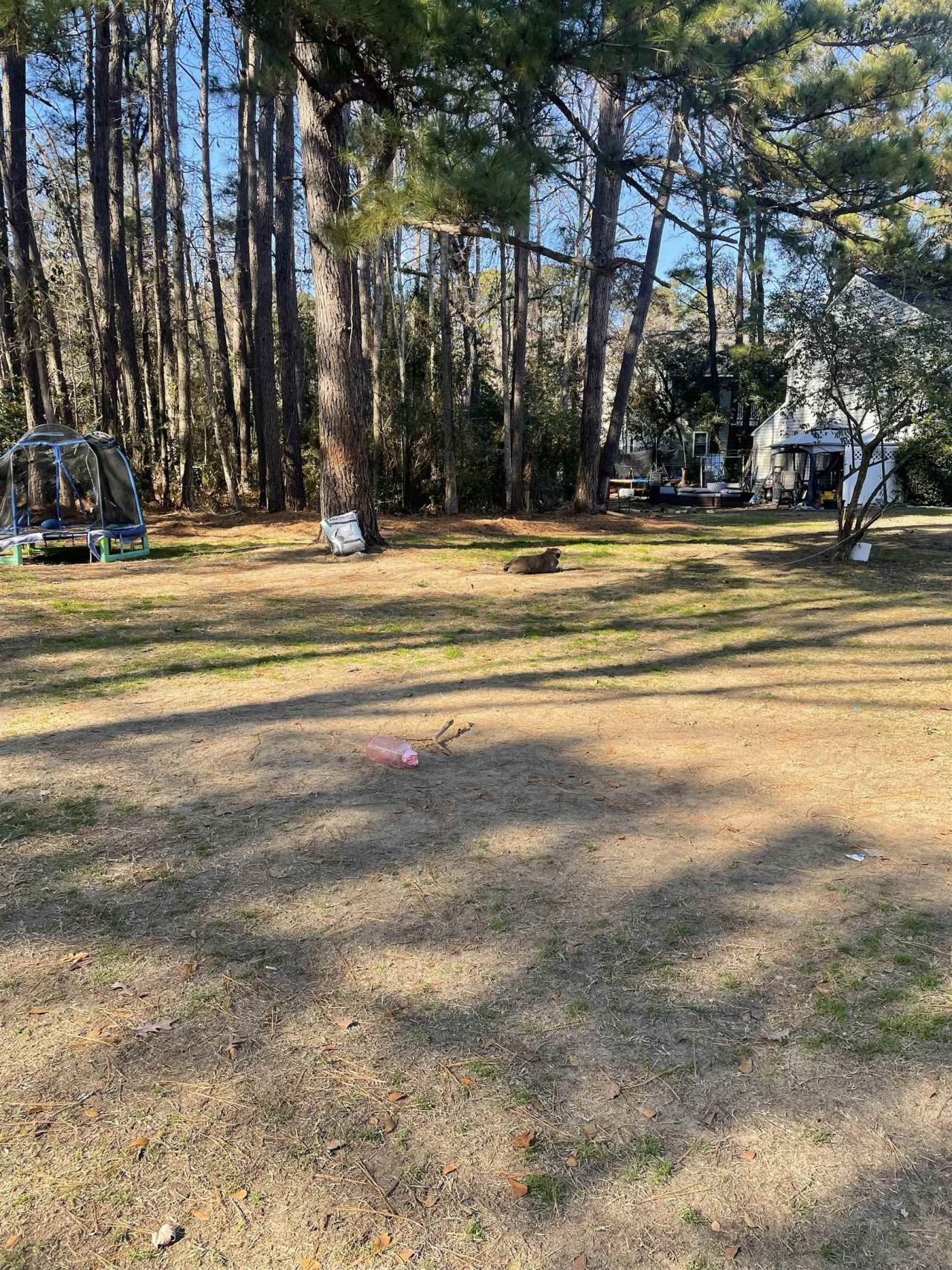 Tbd Lomax Ct. Photo 4