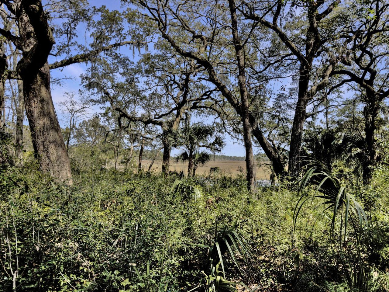 161 Etiwan Pointe Drive Photo 5