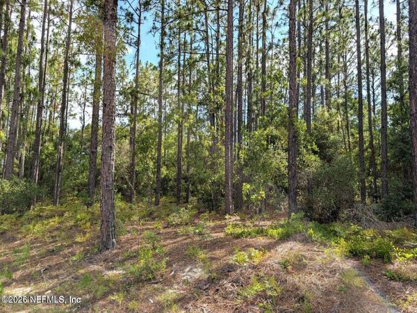 0 CR 218 PASAFINO Road, Green Cove Springs, FL 32043