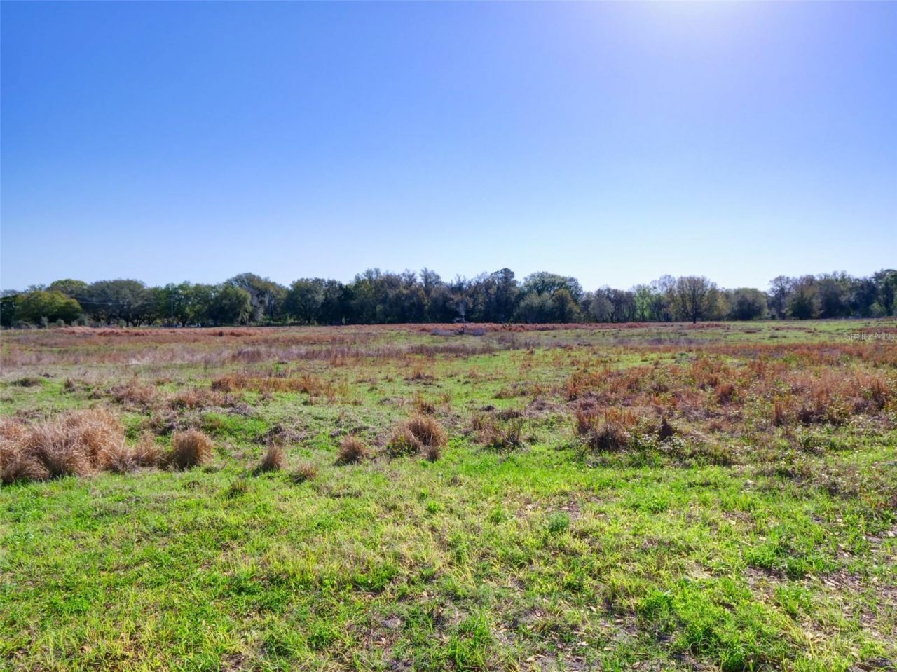 000000- Cr 614a, Bushnell, FL 33513 Photo