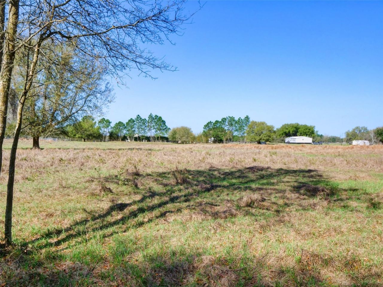 000000- Cr 614a, Bushnell, FL 33513 Photo